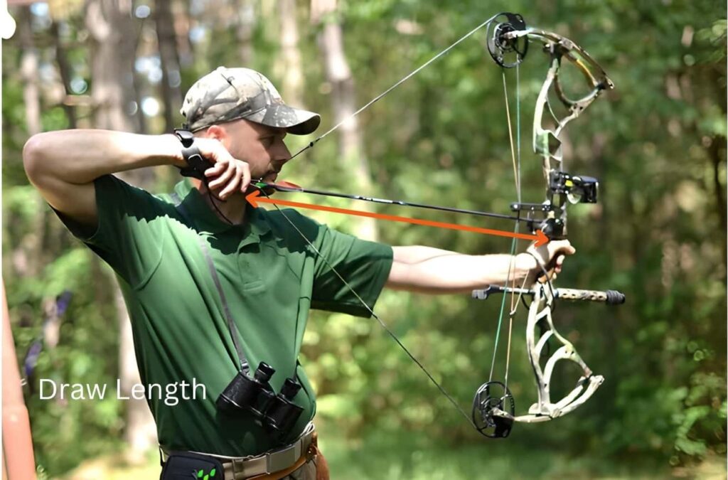 How to Choose The Right Compound Bow Beginner's Guide