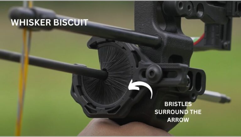 Drop Away vs Whisker Biscuit Arrow Rest: Which Is Better